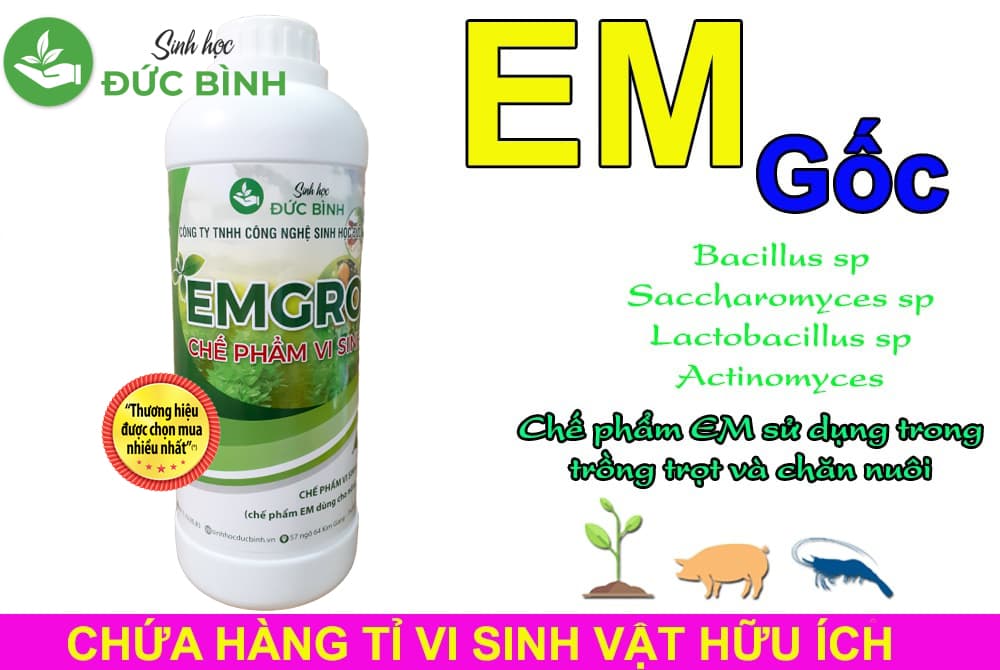 Chế-phẩm-vi-sinh-EM