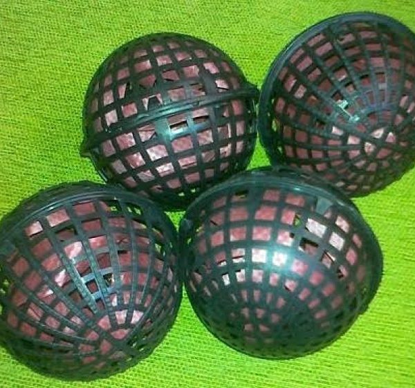 gia-the-vi-sinh-dang-cau-d100